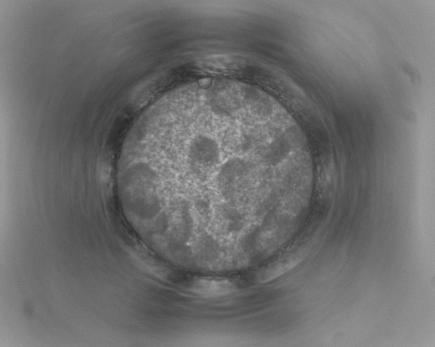 X0000115310749200911231329