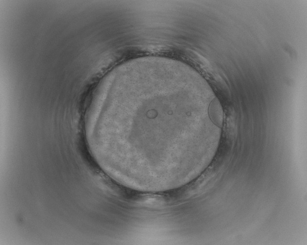 X0000115310750200911231329