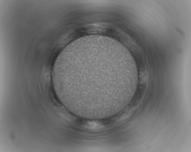 X0000115310753200911231329