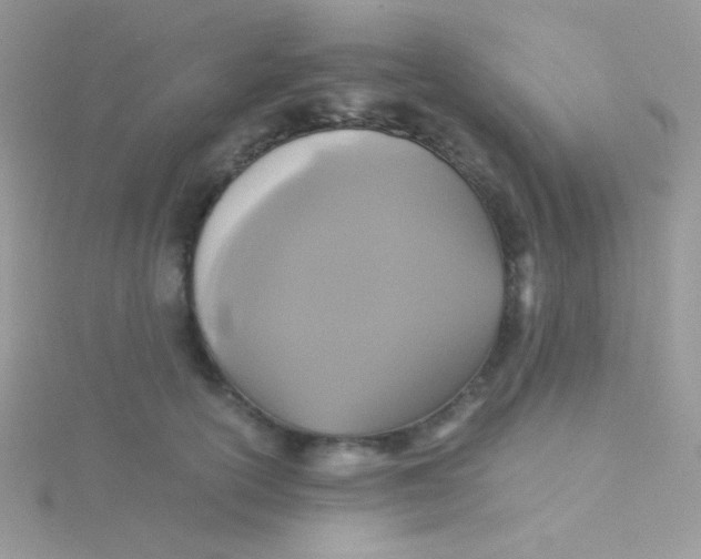 X0000115310754200911231329