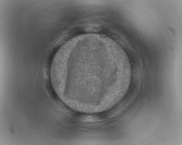 X0000115310755200911231329