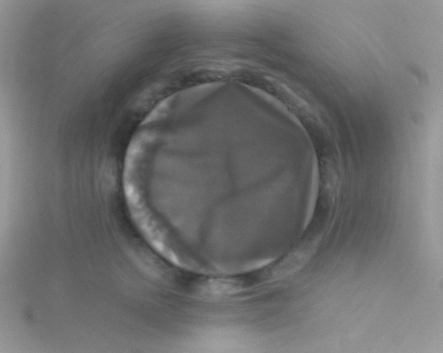 X0000115310758200911231329