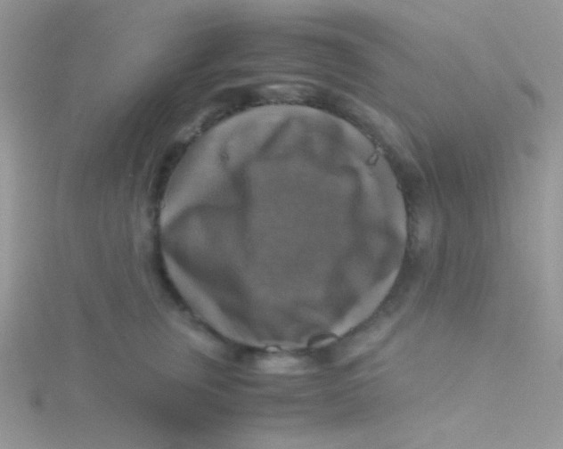 X0000115310759200911231329