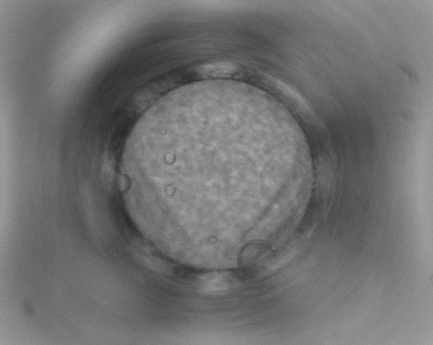 X0000115310761200911231329