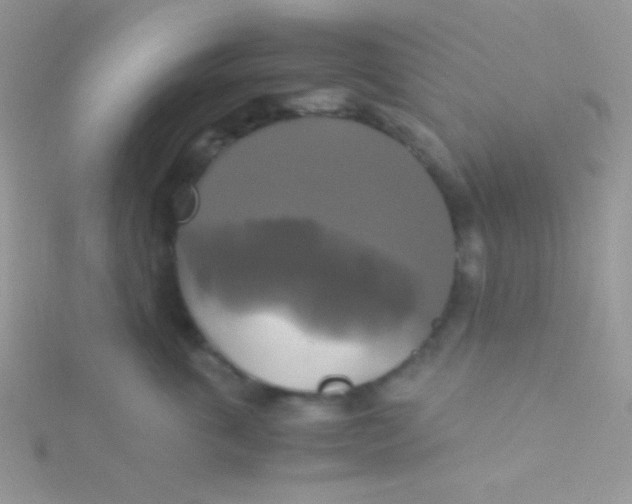 X0000115310763200911231329