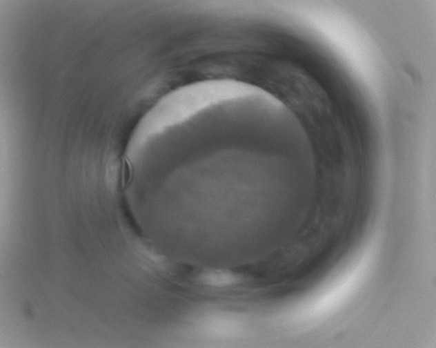 X0000115310767200911231329