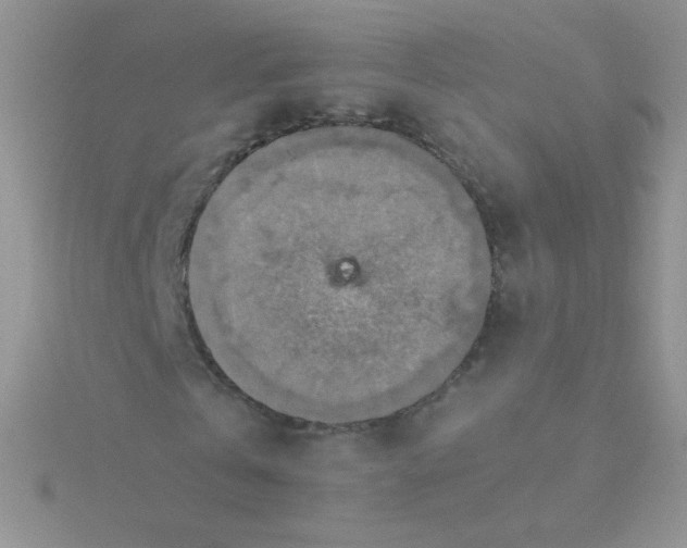 X0000115310769200911231328