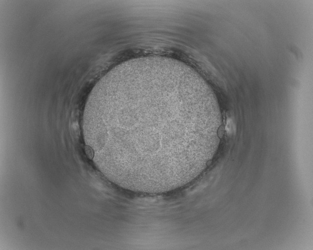 X0000115310771200911231328