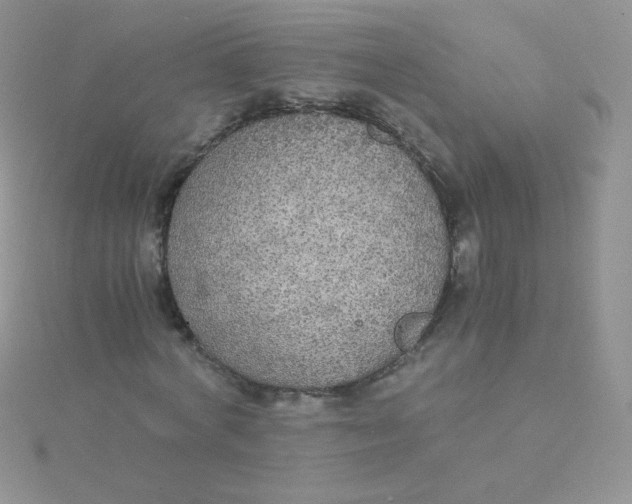 X0000115310772200911231328