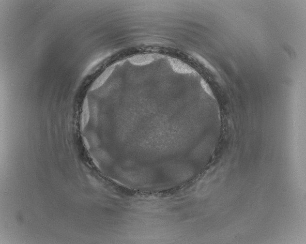 X0000115310775200911231328