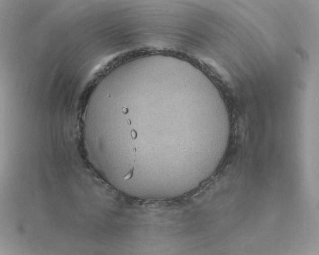 X0000115310776200911231328