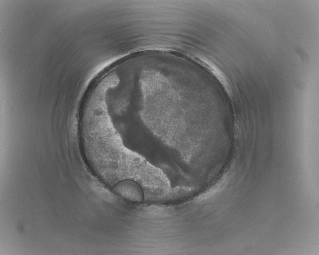 X0000115310779200911231328