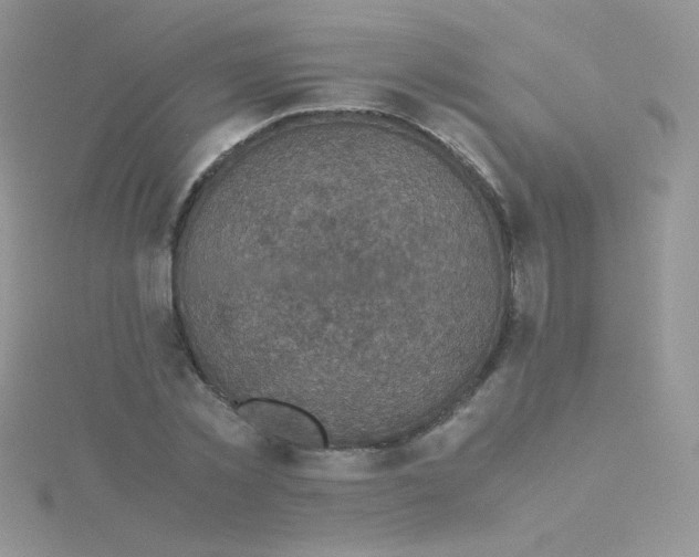 X0000115310781200911231328