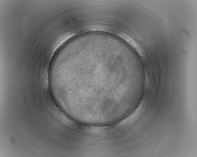 X0000115310782200911231328