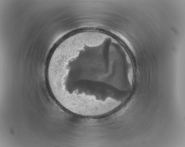 X0000115310783200911231328