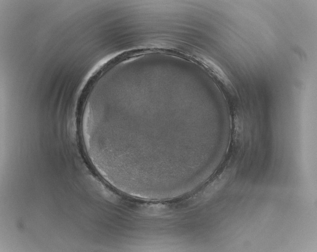 X0000115310784200911231328