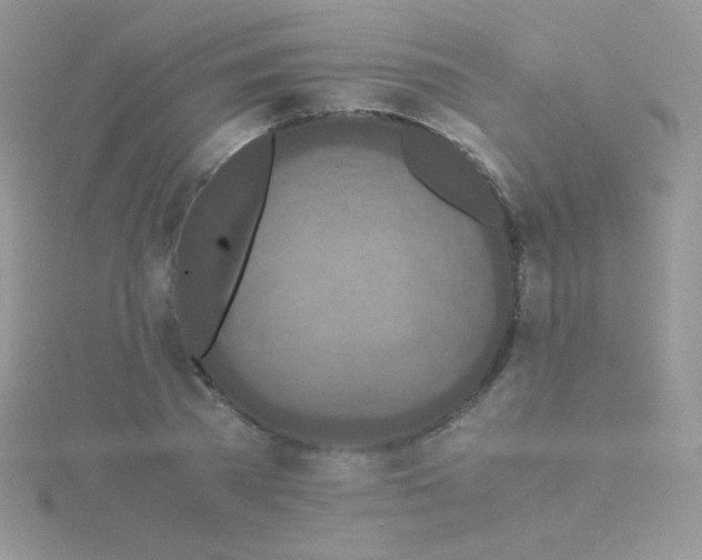 X0000115310785200911231328