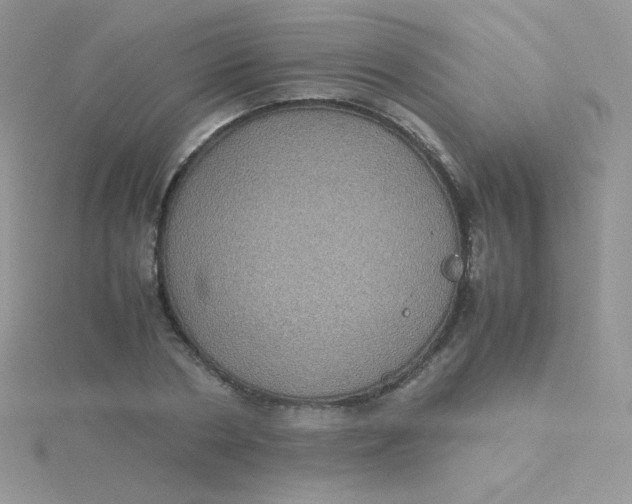 X0000115310786200911231328