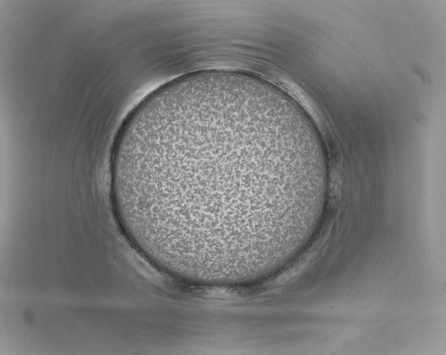 X0000115310787200911231328