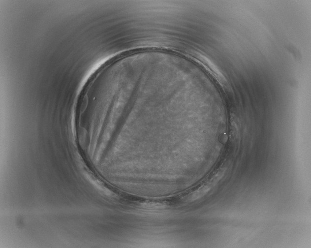 X0000115310788200911231328