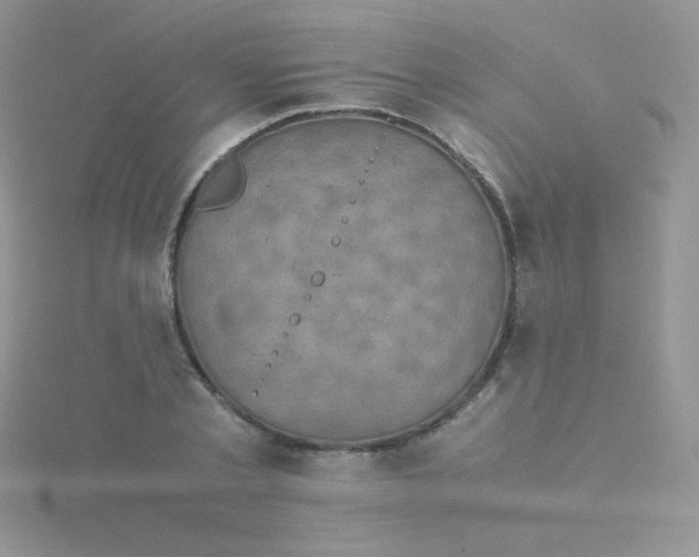 X0000115310789200911231328