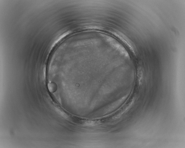 X0000115310790200911231328