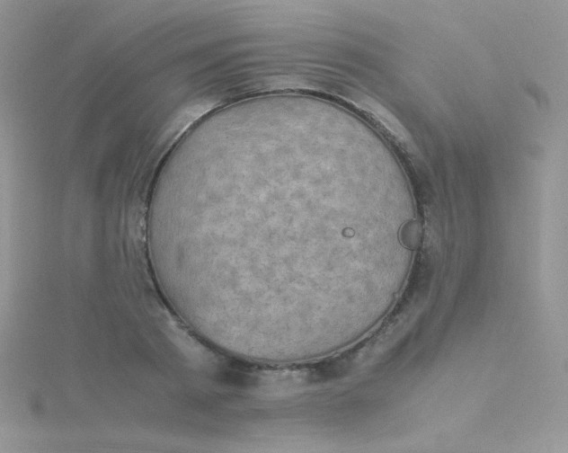 X0000115310793200911231328