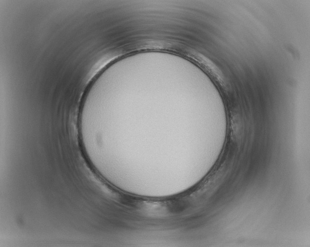 X0000115310794200911231328