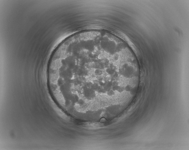 X0000115310795200911231328