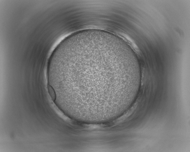 X0000115310796200911231328