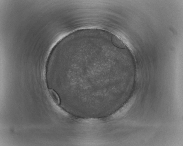 X0000115310797200911231328