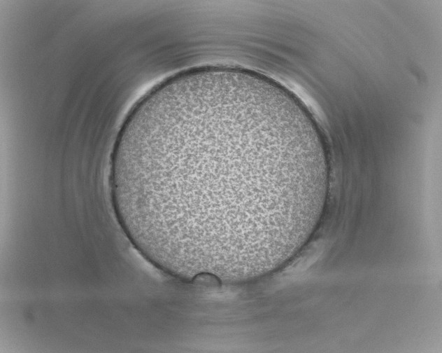 X0000115310799200911231328