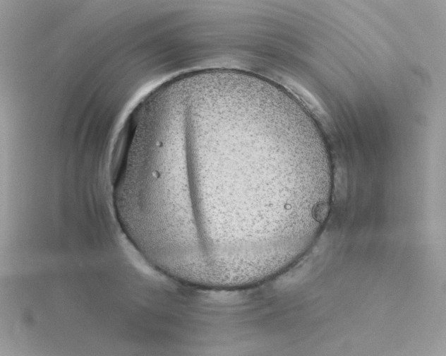 X0000115310800200911231328