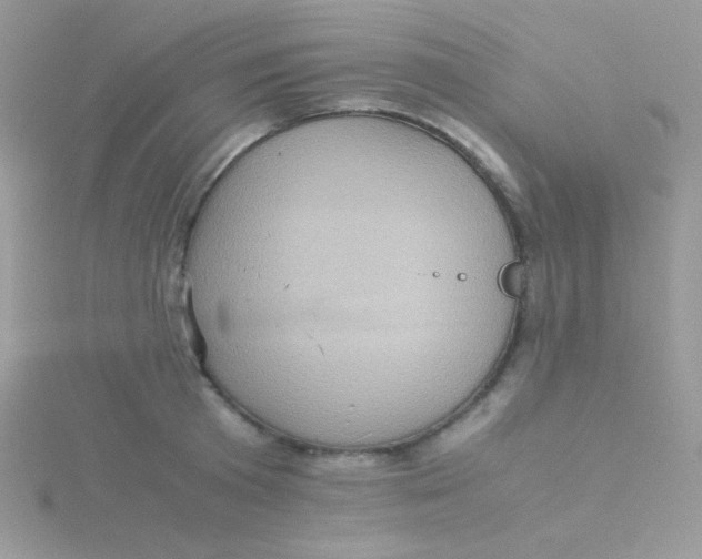 X0000115310801200911231328