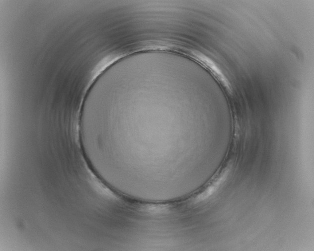 X0000115310802200911231328