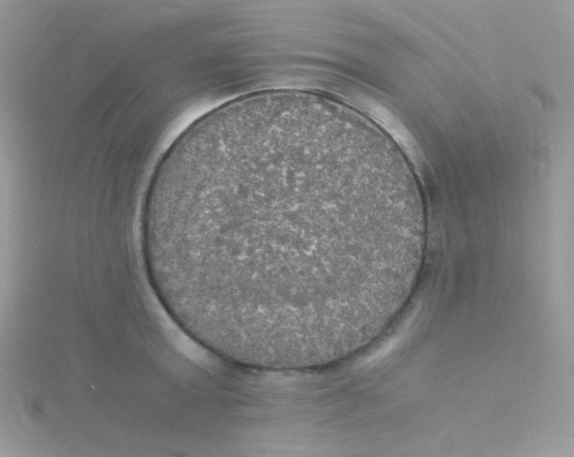 X0000115310803200911231328