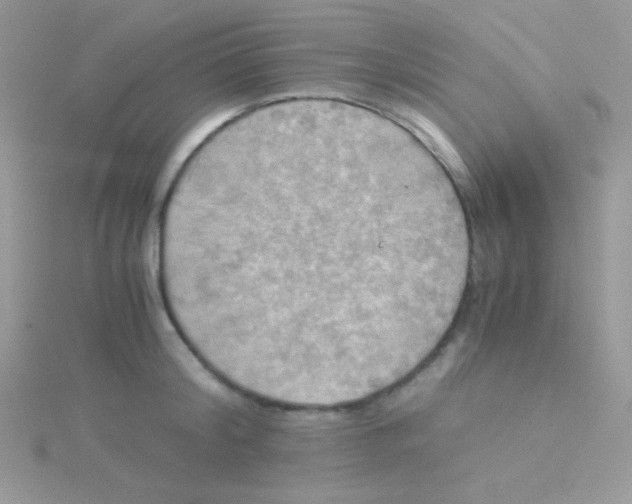 X0000115310804200911231328