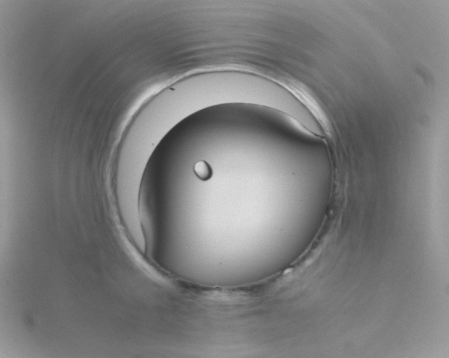 X0000115310805200911231328