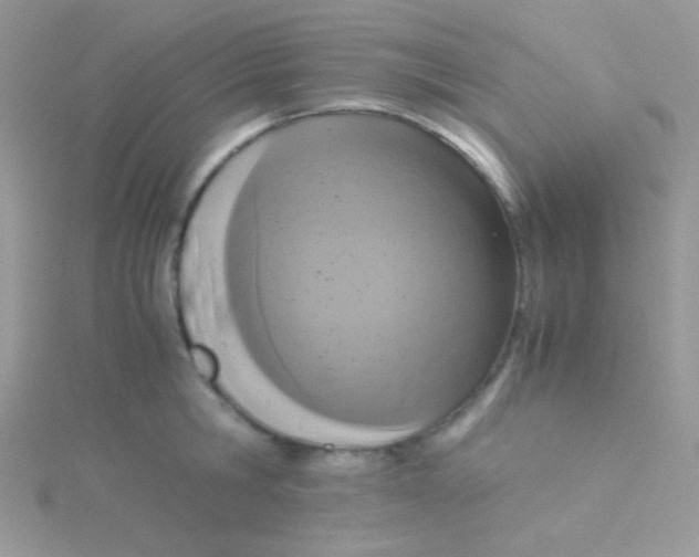 X0000115310806200911231328