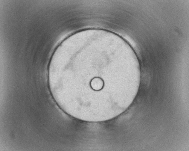 X0000115310807200911231328