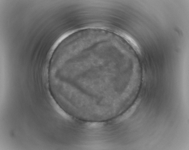 X0000115310808200911231328