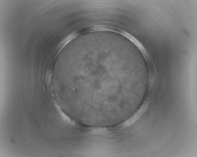 X0000115310809200911231328