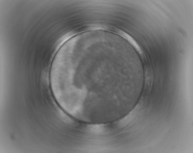 X0000115310810200911231328