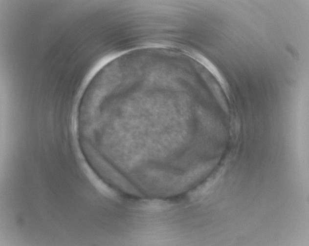 X0000115310811200911231328