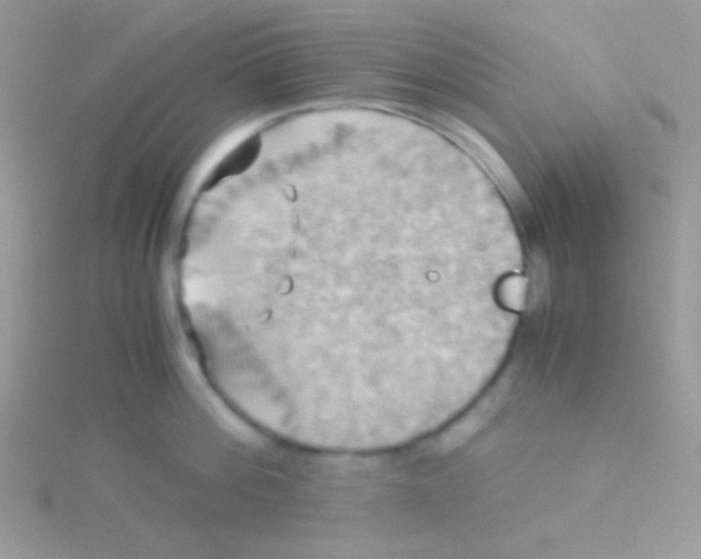 X0000115310812200911231328