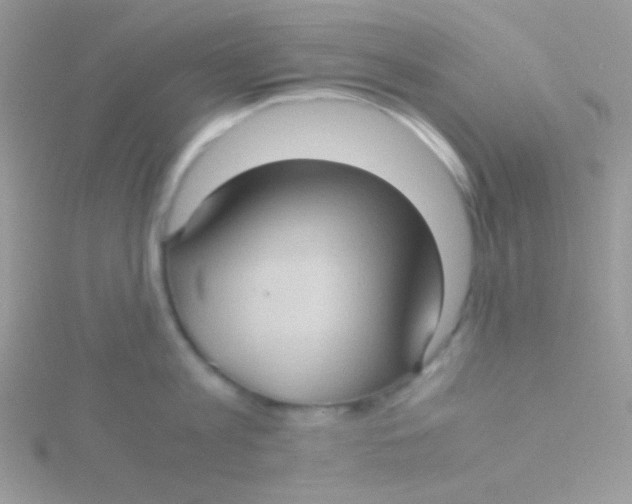 X0000115310813200911231328