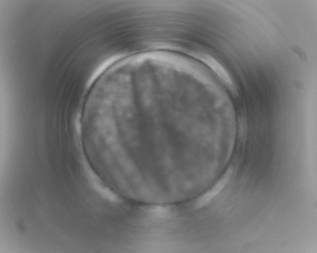 X0000115310814200911231328