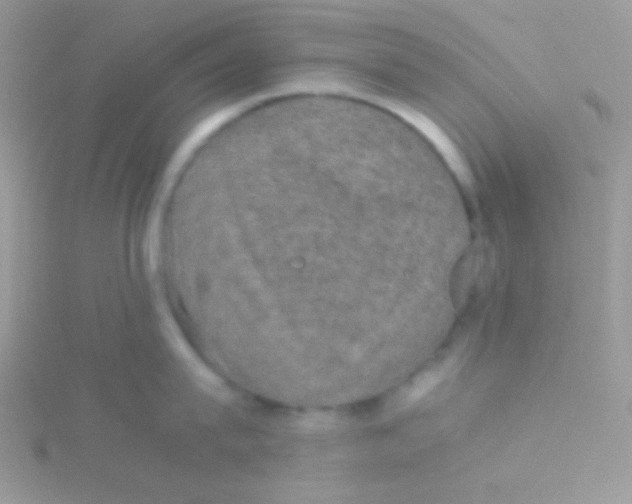 X0000115310815200911231328