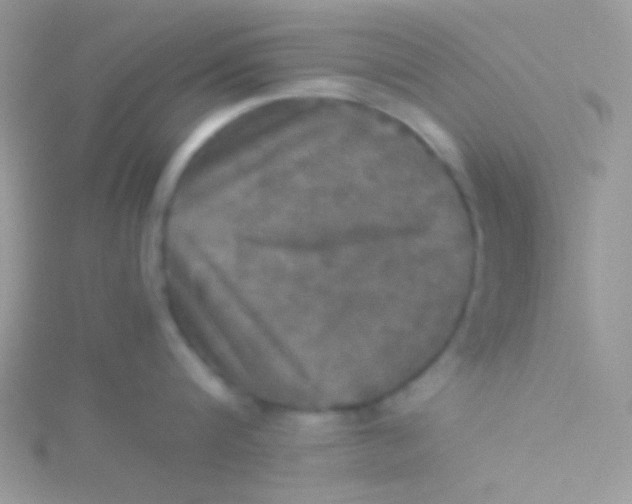 X0000115310816200911231328