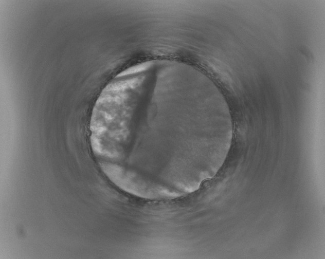 X0000115310817200911231327